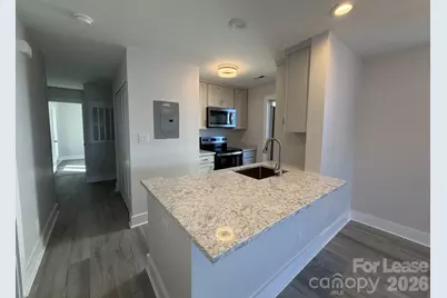 18729 Vineyard Point Lane, Cornelius, NC 28031 - Photo 4