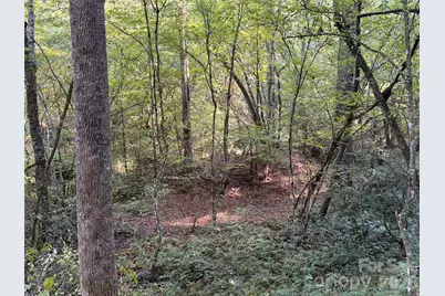 V/L Kashs Way #7, Nebo, NC 28761 - Photo 24