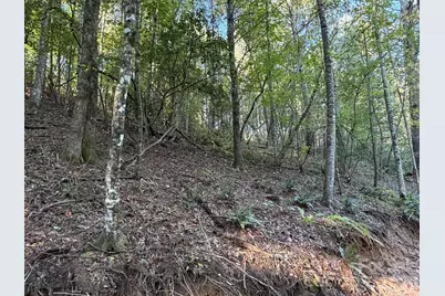 V/L Kashs Way #7, Nebo, NC 28761 - Photo 14