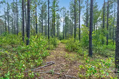 0000 Garvin Road #1, York, SC 29726 - Photo 6