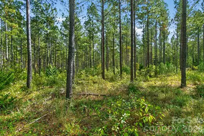 0000 Garvin Road #1, York, SC 29726 - Photo 4
