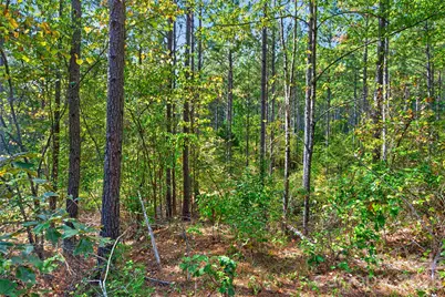 0000 Garvin Road #1, York, SC 29726 - Photo 20