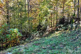 105 Poplar Ridge Ln, Burnsville, NC 28714 - Photo 16