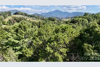 525 Silent Acres Road, Waynesville, NC 28785 - Photo 48