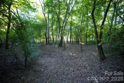 2233 Rodman Road, Chester, SC 29706 - Photo 40