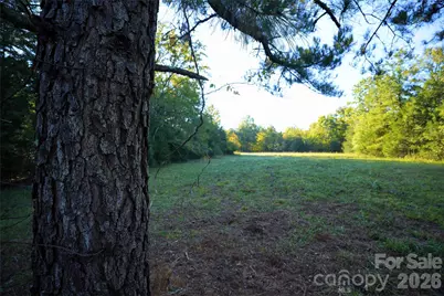 2233 Rodman Road, Chester, SC 29706 - Photo 22