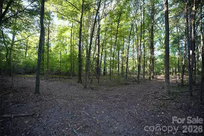 2233 Rodman Road, Chester, SC 29706 - Photo 32
