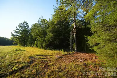 2233 Rodman Road, Chester, SC 29706 - Photo 14