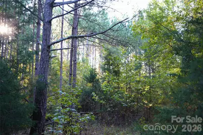 2233 Rodman Road, Chester, SC 29706 - Photo 24