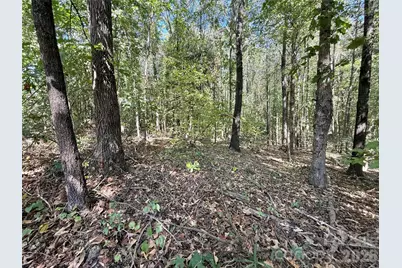 2030 Ellison Drive, Rock Hill, SC 29730 - Photo 30