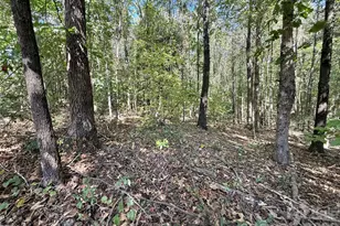2030 Ellison Dr, Rock Hill, SC 29730 - Photo 30