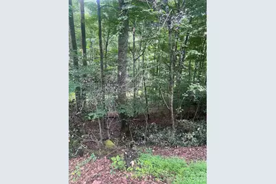 0000 Forest Lane, Blowing Rock, NC 28605 - Photo 6