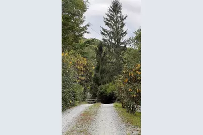 0000 Forest Lane, Blowing Rock, NC 28605 - Photo 1