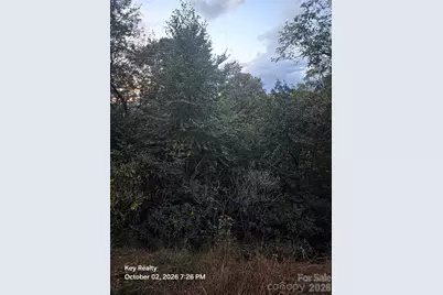 0000 Forest Lane, Blowing Rock, NC 28605 - Photo 8