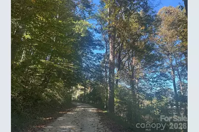 00 Split Pine Cove, Clyde, NC 28721 - Photo 1