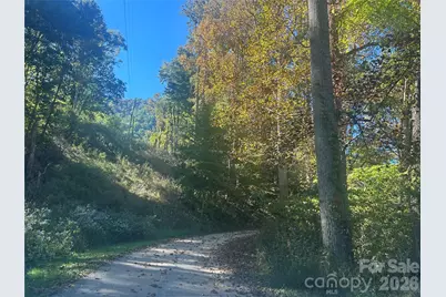 00 Split Pine Cove, Clyde, NC 28721 - Photo 2