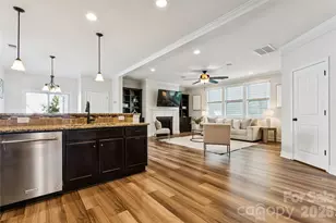 14007 Helen Benson Blvd, Davidson, NC 28036 - Photo 16