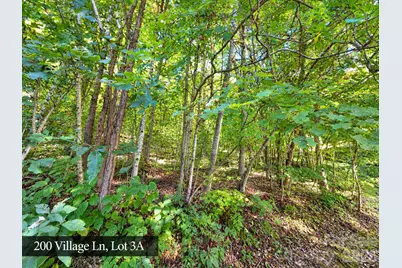 200 Village Lane #3A, Waynesville, NC 28786 - Photo 28