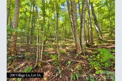 200 Village Lane #3A, Waynesville, NC 28786 - Photo 20