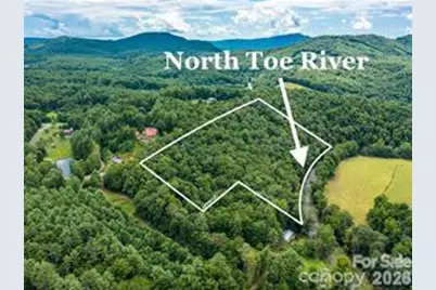 000 Davenport Road, Spruce Pine, NC 28777 - Photo 1
