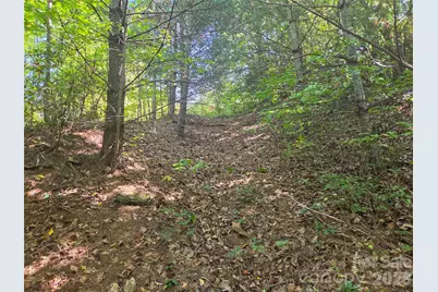 2650 Russell Gap Road, Moravian Falls, NC 28654 - Photo 2