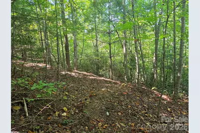2650 Russell Gap Road, Moravian Falls, NC 28654 - Photo 30