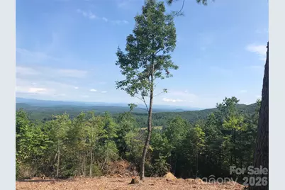 2650 Russell Gap Road, Moravian Falls, NC 28654 - Photo 34