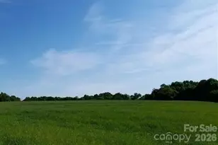 +/- 32 51 Acres St Pauls Church Rd, Newton, NC 28658 - Photo 1