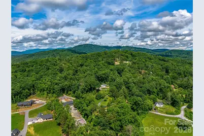 170 Twin Springs Road, Hendersonville, NC 28792 - Photo 6