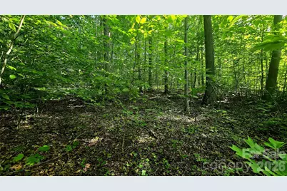 Lot 11 Elk Creek Mountain Parkway #11, Todd, NC 28684 - Photo 6