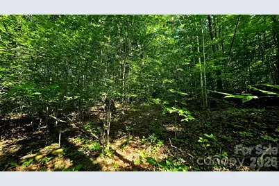 Lot 11 Elk Creek Mountain Parkway #11, Todd, NC 28684 - Photo 2