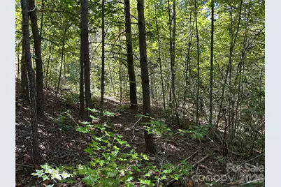 168 Robinwood Trail, Bostic, NC 28018 - Photo 2