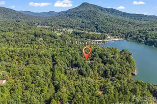 121 Quail Run Ct, Lake Lure, NC 28746 - Photo 30