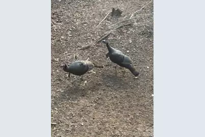 2377 Connestee Trail #429/02, Brevard, NC 28712 - Photo 36