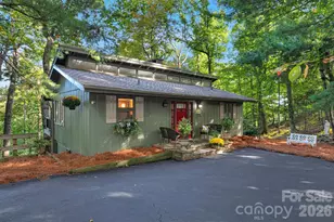 2377 Connestee Trail, Brevard, NC 28712 - Photo 2