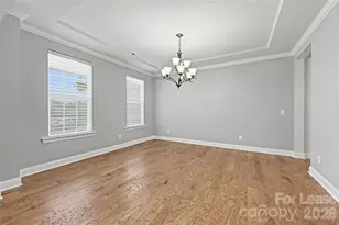 17306 Saranita Ln, Charlotte, NC 28278 - Photo 4