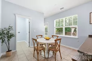 10329 Misty Moss Ct, Mint Hill, NC 28227 - Photo 14