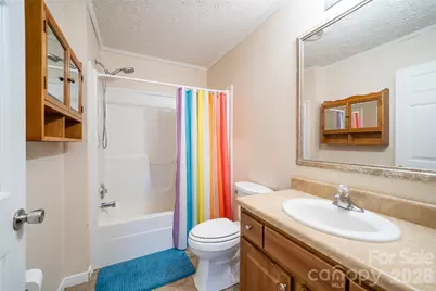 23 Yorkie Drive, Clyde, NC 28721 - Photo 22