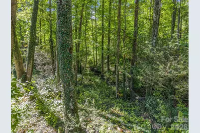 242 Summer Haven Road, Swannanoa, NC 28778 - Photo 10