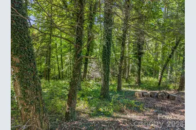 242 Summer Haven Road, Swannanoa, NC 28778 - Photo 4