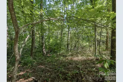 Lot 6 W Chestnut Ridges Road #6, Hendersonville, NC 28739 - Photo 14