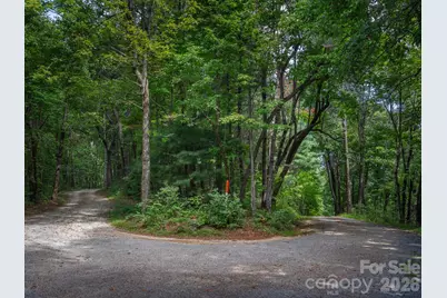 Lot 6 W Chestnut Ridges Road #6, Hendersonville, NC 28739 - Photo 6