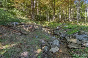 765 Hawk Ridge Ln, Marshall, NC 28753 - Photo 8