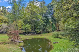 765 Hawk Ridge Ln, Marshall, NC 28753 - Photo 28