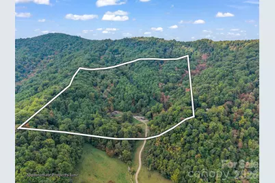 765 Hawk Ridge Lane, Marshall, NC 28753 - Photo 48