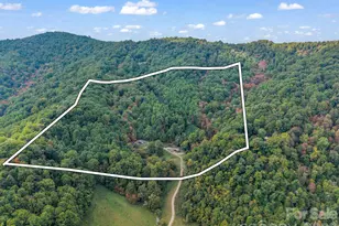 765 Hawk Ridge Ln, Marshall, NC 28753 - Photo 48