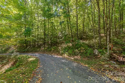 29 Wood Haven Lane, Black Mountain, NC 28711 - Photo 6