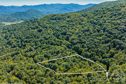 29 Wood Haven Lane, Black Mountain, NC 28711 - Photo 2