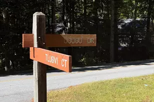 Tbd U24 Lot19 Tlugvi Ct, Brevard, NC 28712 - Photo 1