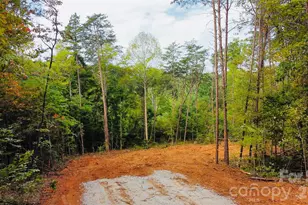 3542 Vilas Dr, Claremont, NC 28610 - Photo 1